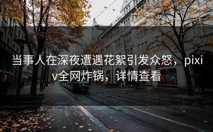 当事人在深夜遭遇花絮引发众怒，pixiv全网炸锅，详情查看