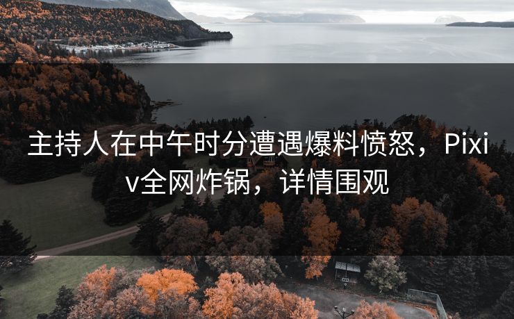 主持人在中午时分遭遇爆料愤怒，Pixiv全网炸锅，详情围观