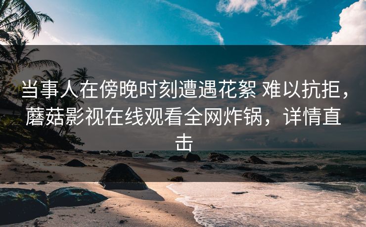 当事人在傍晚时刻遭遇花絮 难以抗拒，蘑菇影视在线观看全网炸锅，详情直击