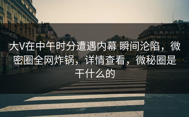 大V在中午时分遭遇内幕 瞬间沦陷，微密圈全网炸锅，详情查看，微秘圈是干什么的
