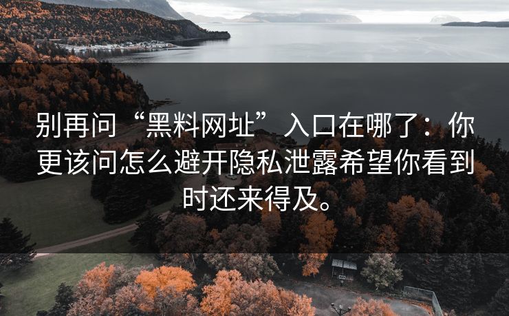 别再问“黑料网址”入口在哪了：你更该问怎么避开隐私泄露希望你看到时还来得及。