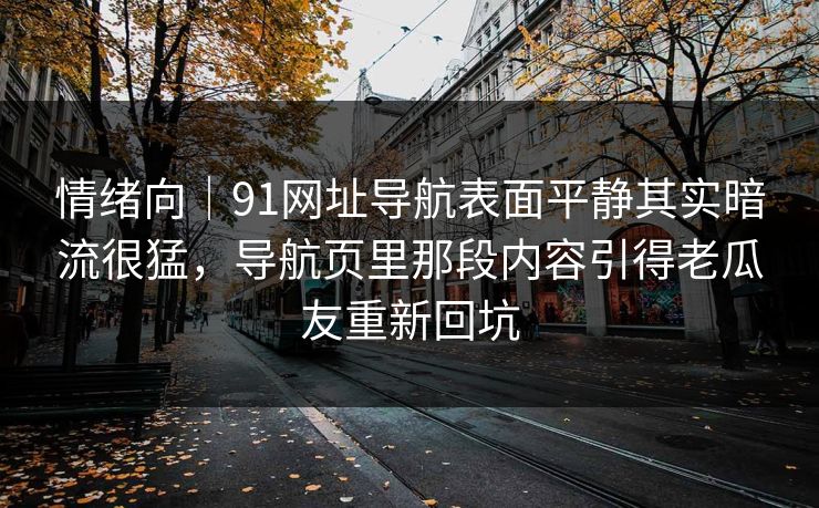 情绪向｜91网址导航表面平静其实暗流很猛，导航页里那段内容引得老瓜友重新回坑