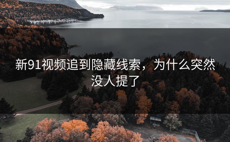 新91视频追到隐藏线索，为什么突然没人提了